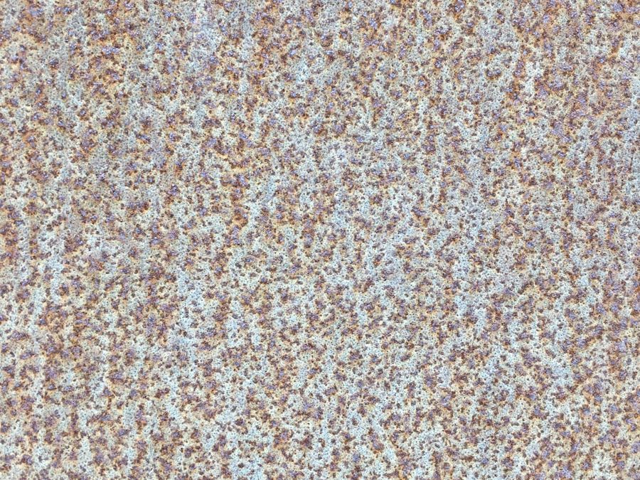 Photo Tissue degeneration