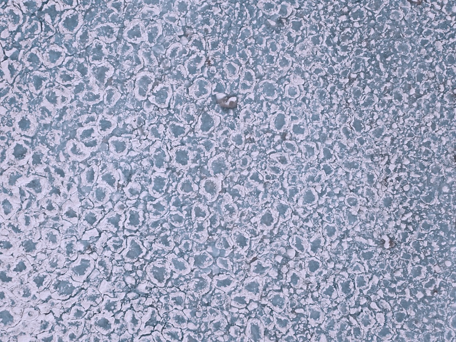 Photo Tissue degeneration