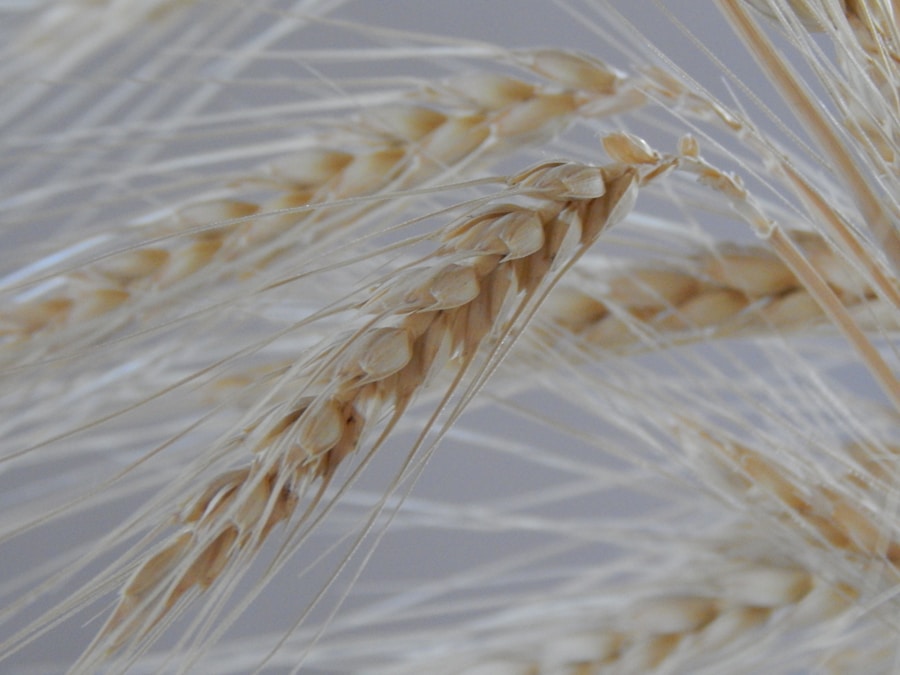 Photo Gluten-free diet