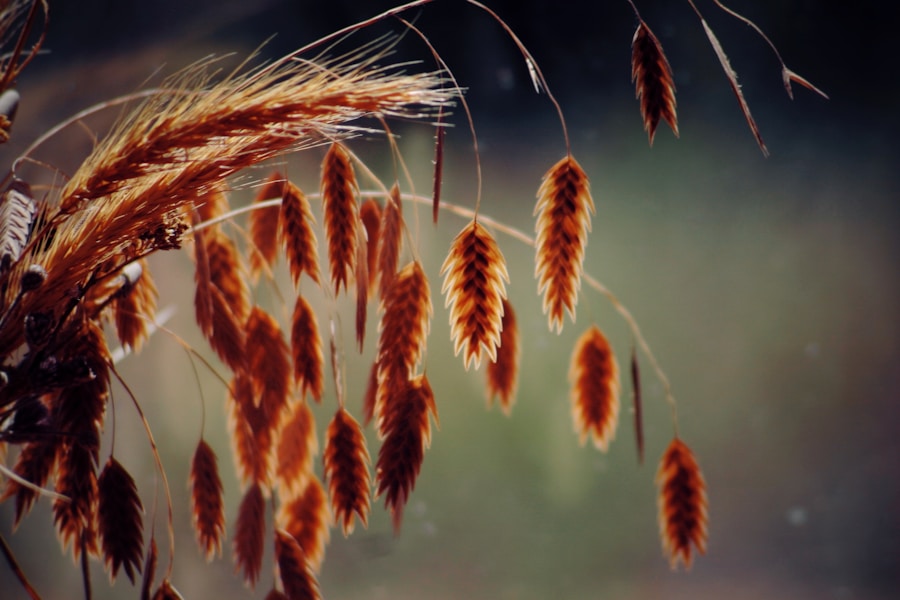 Photo Celiac disease and autoimmune diseases