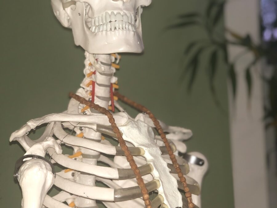Photo "Prevention of vertebral compression"