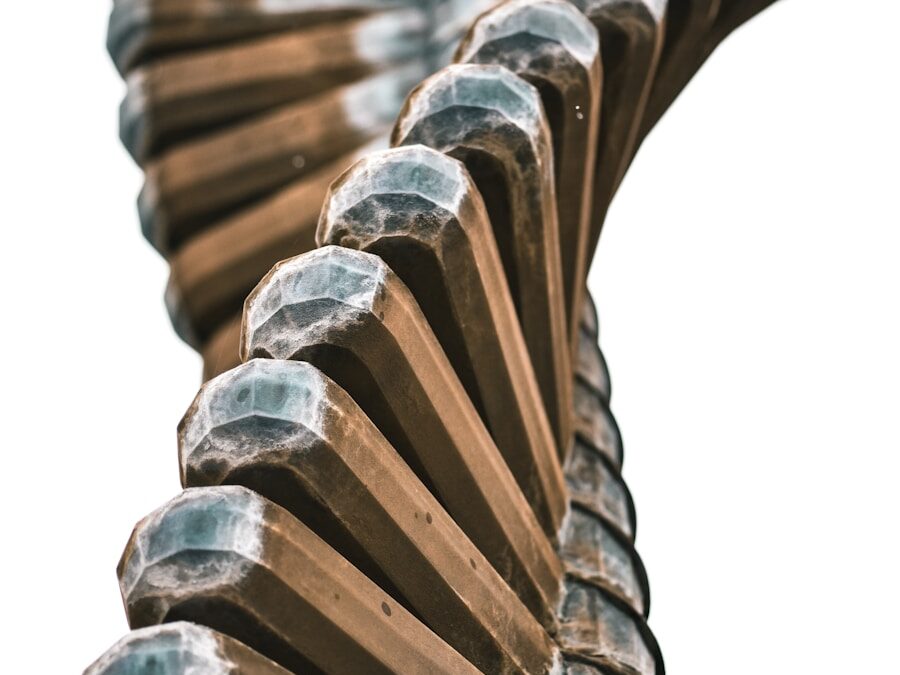 Photo Vertebral compression fracture