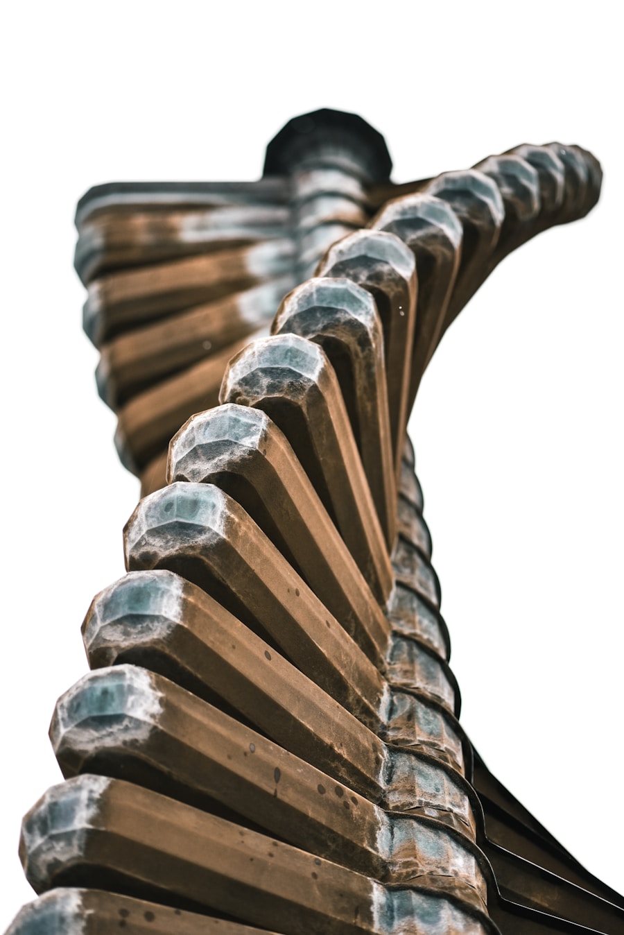 Photo Vertebral compression fracture