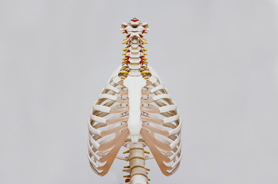 Photo "Vertebral slippage physiotherapy"