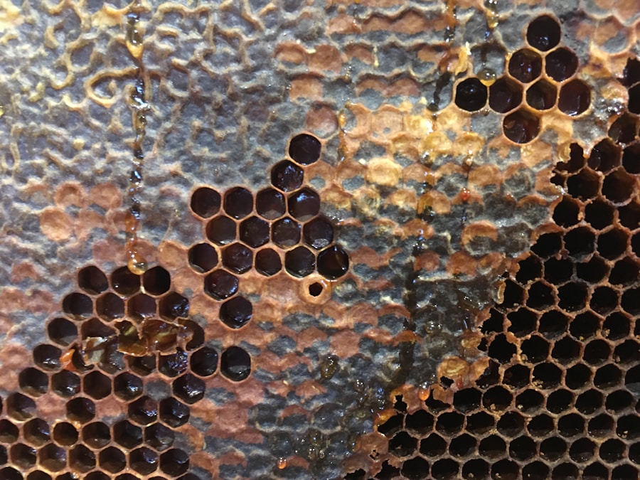 Photo "Dangers of hives"