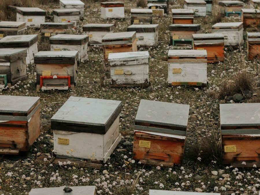 Photo "Frequency of hives"
