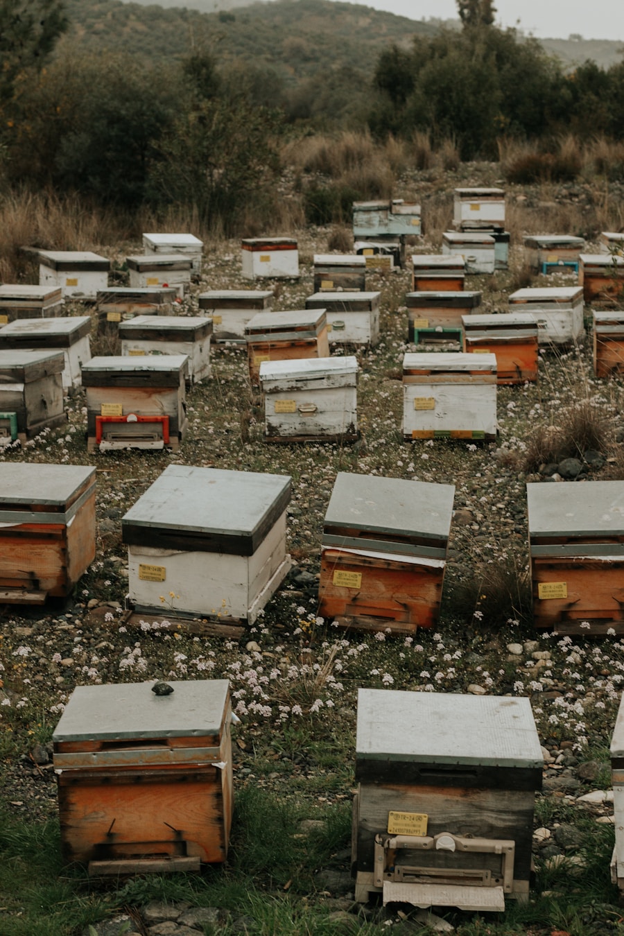 Photo "Frequency of hives"