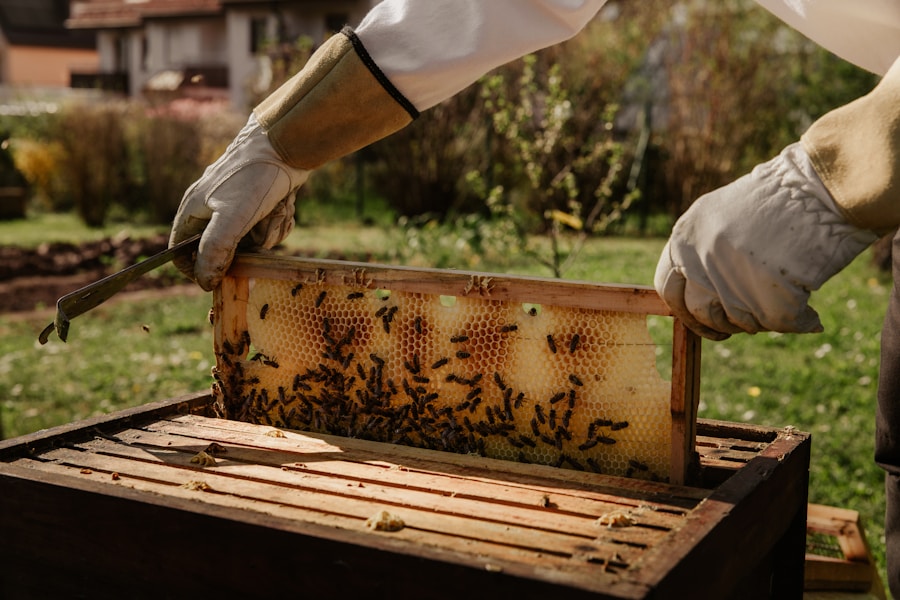 Photo "Prevention of hives"