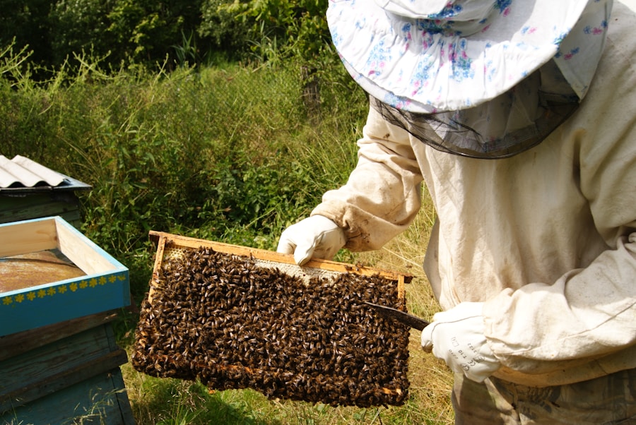 Photo "Causes of hives"