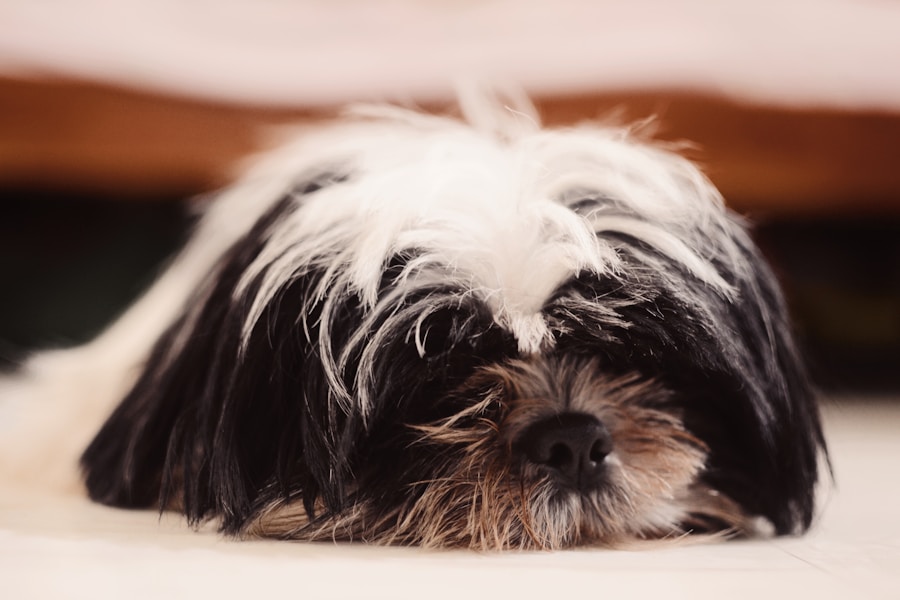 Photo Drug therapy for Cushings disease