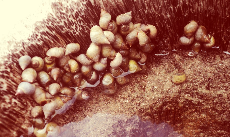 Photo "Prevention of osteomyelitis"