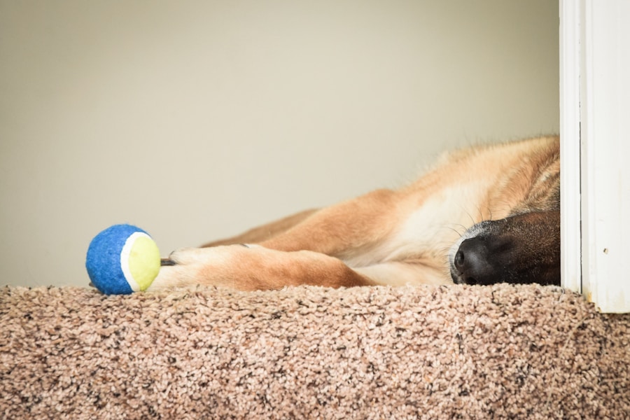 Photo "Treatment options for osteomyelitis"