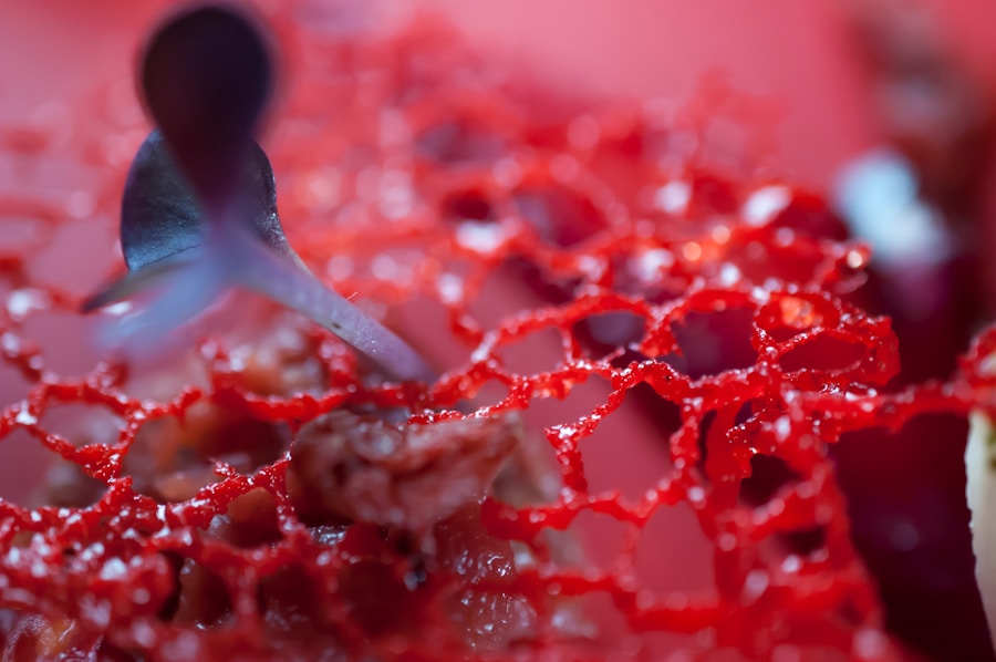 Photo Function of bone marrow