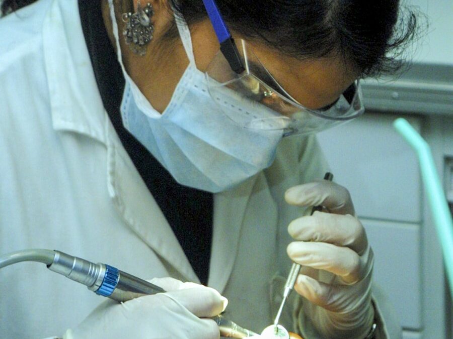 Photo Examination of bone marrow