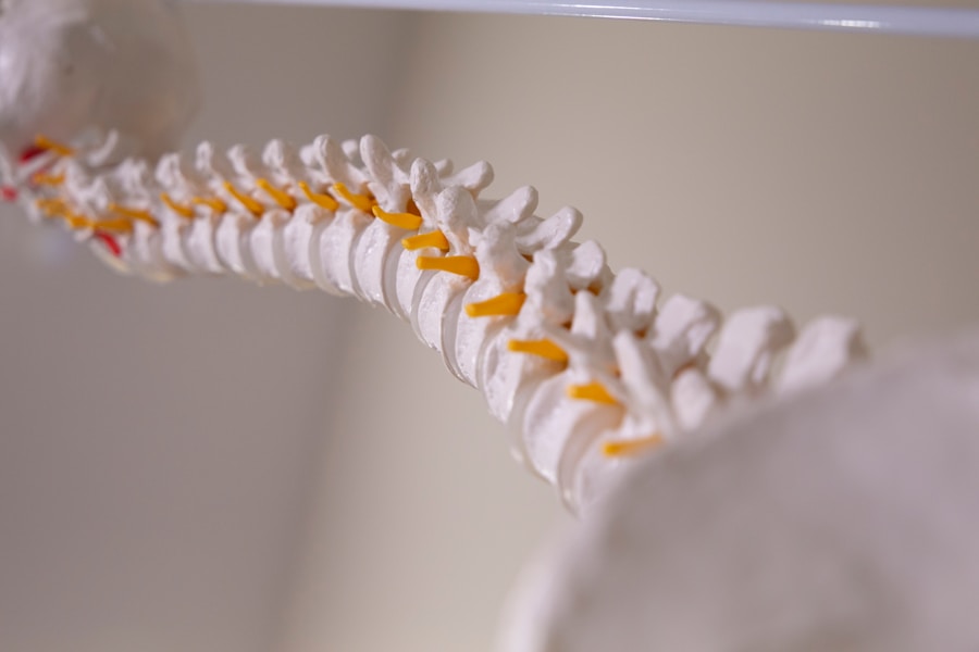 Photo "Back pain physiotherapy"