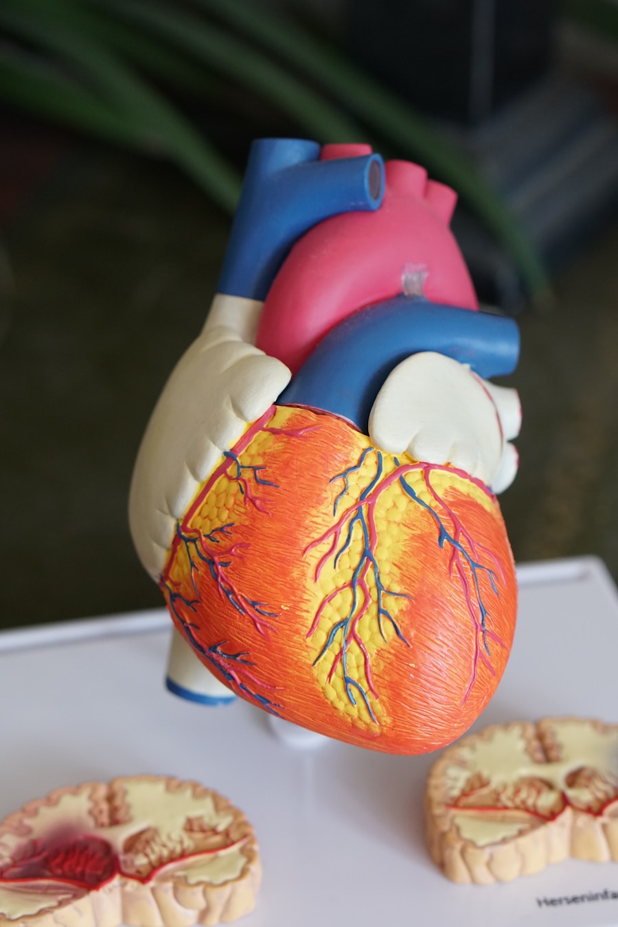 Photo Symptoms of heart disease