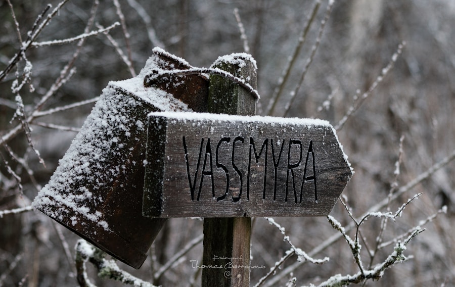 Photo Vese