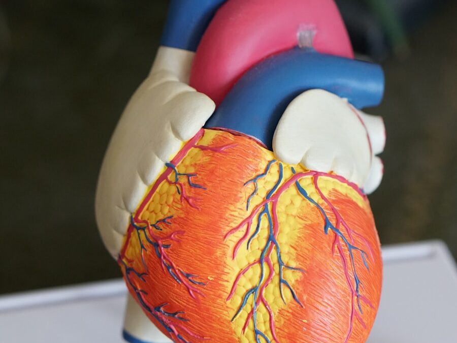 Photo "Symptoms of endocarditis"