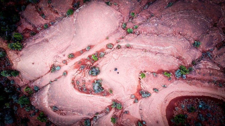 Photo "Treatment of gallbladder inflammation"