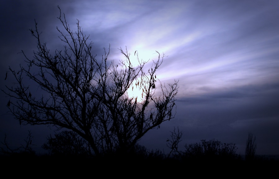 Photo "Symptoms of twilight"