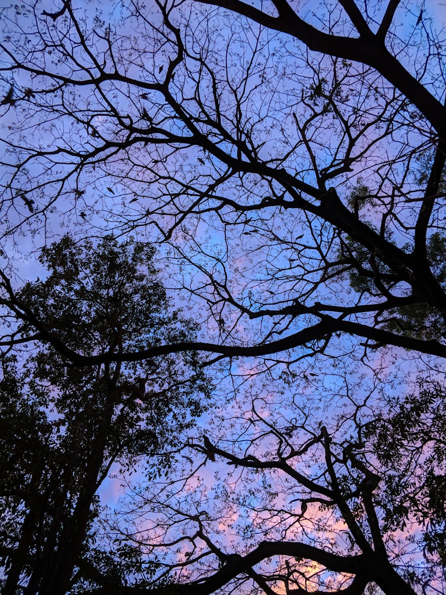 Photo signs of dusk