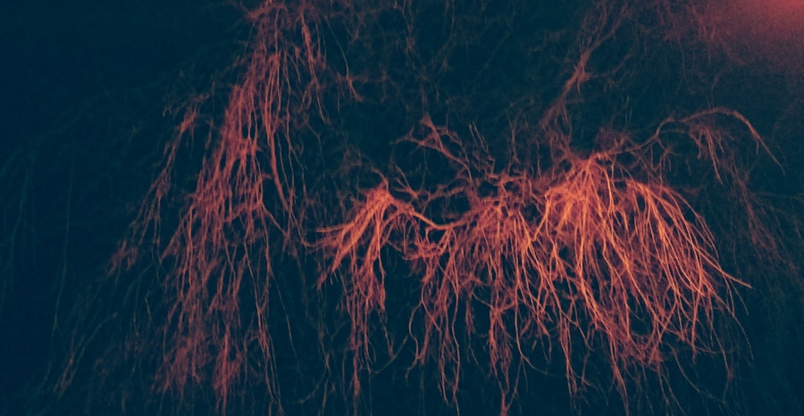 Photo "narrowing of blood vessels numbness"