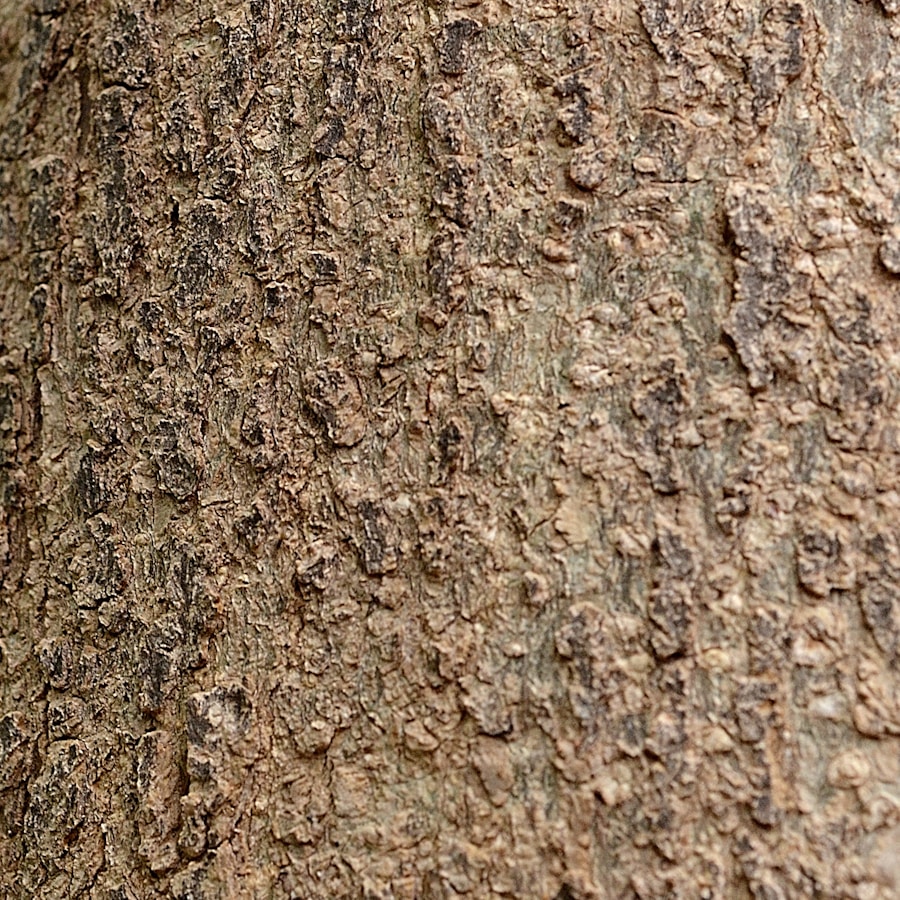 Photo Vasoconstriction