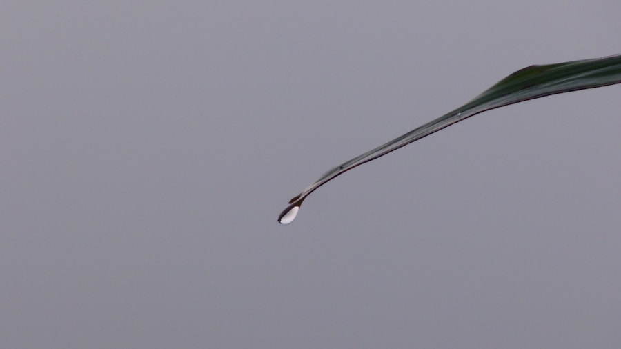 Photo Intrauterine contraception
