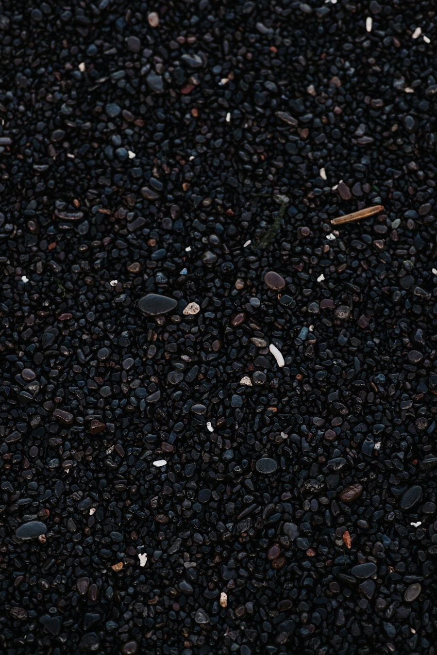 Photo Black tartar