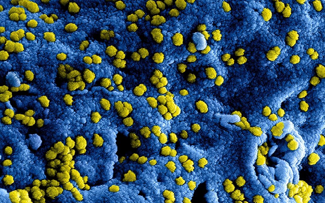 Photo Medical illustration