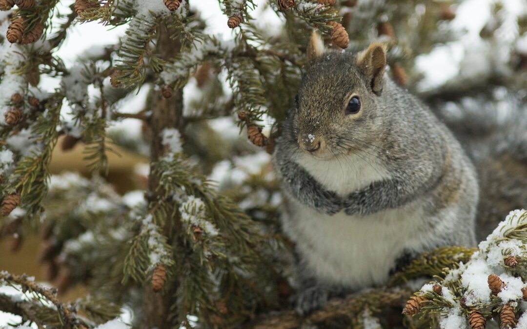 Csontrak gyógyítás: hatékony módszerek és kezelések