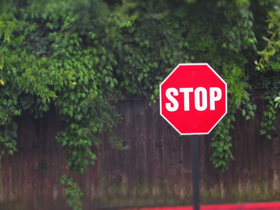 Photo "Full stop"