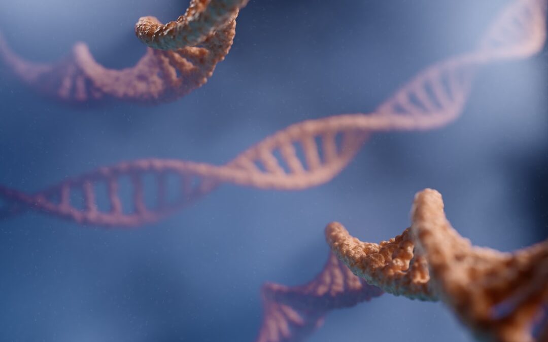 Photo Genetic factors