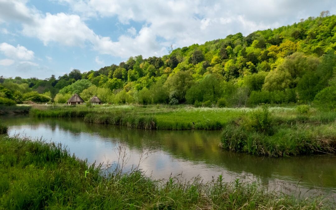 Photo Nature reserve