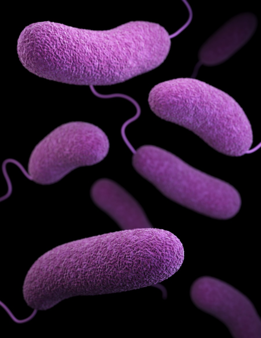 Photo Tooth decay bacteria