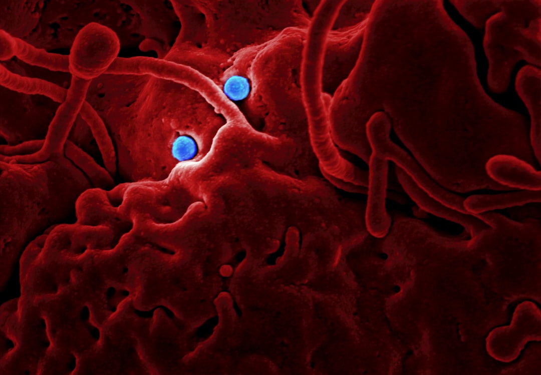 Photo Medical illustration