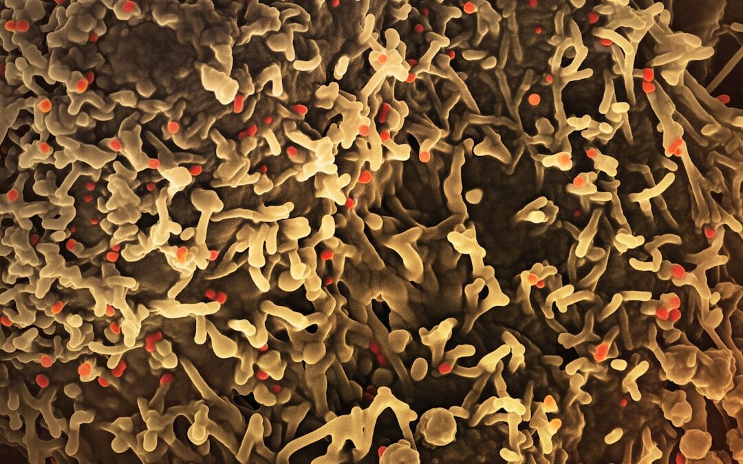 Photo Monkeypox rash