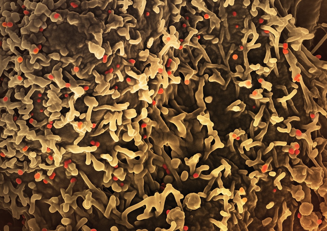 Photo Monkeypox rash