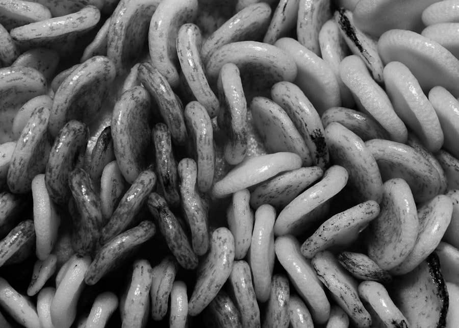 Photo "Prevention of tapeworm infection"