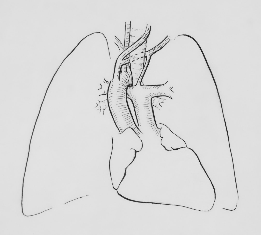 Photo Respiratory system