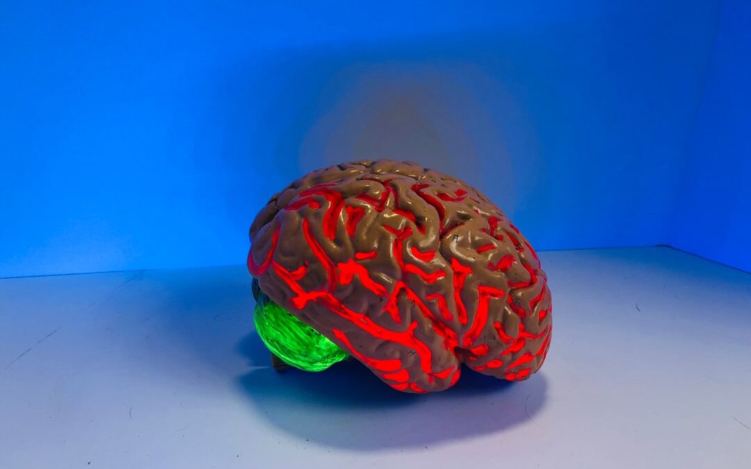 Photo Brain scan
