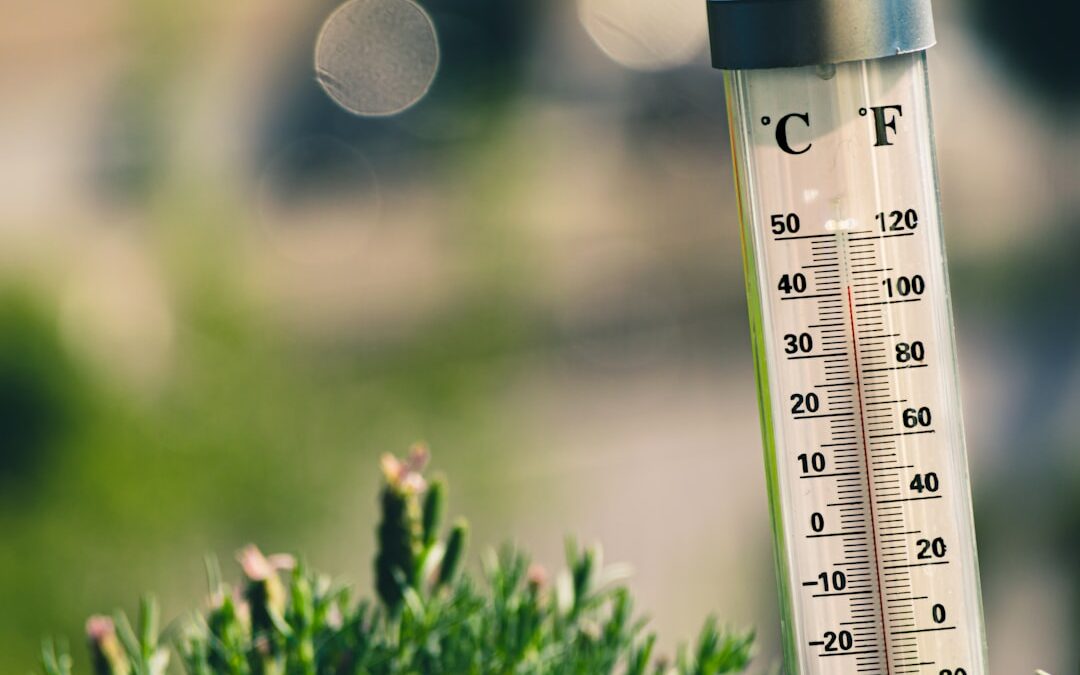 Photo Thermometer
