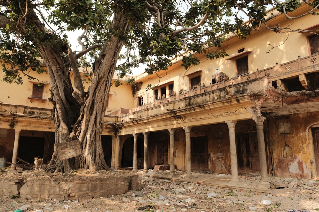 Photo Collapsed building