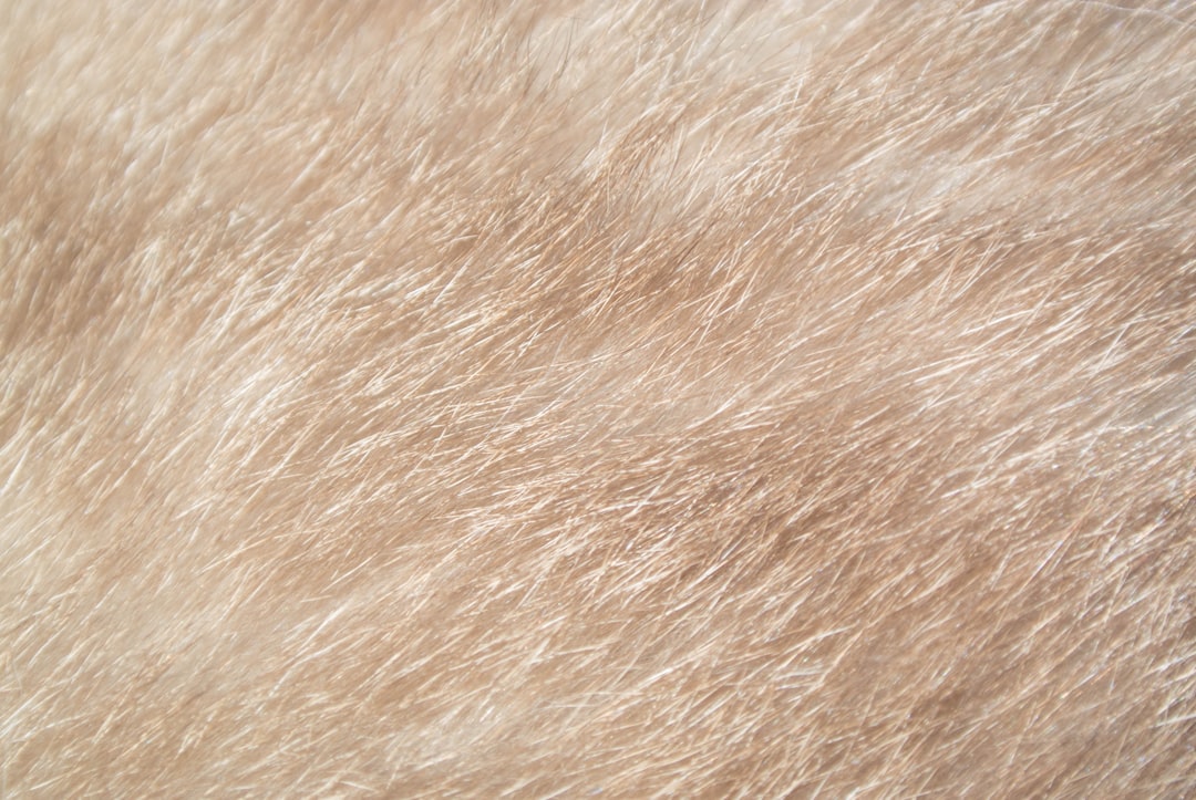 Photo Skin texture