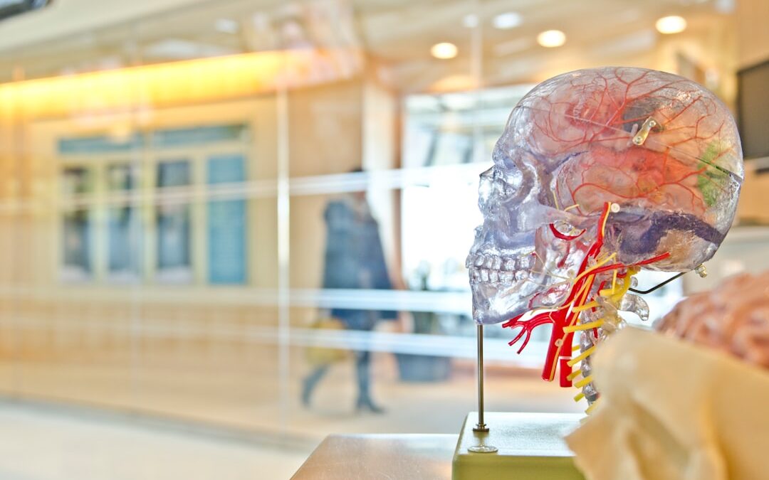 Photo Brain scan