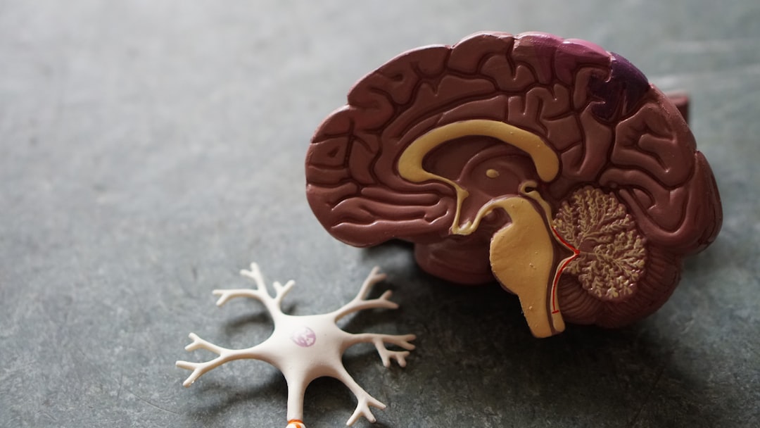 Photo Brain-gut axis