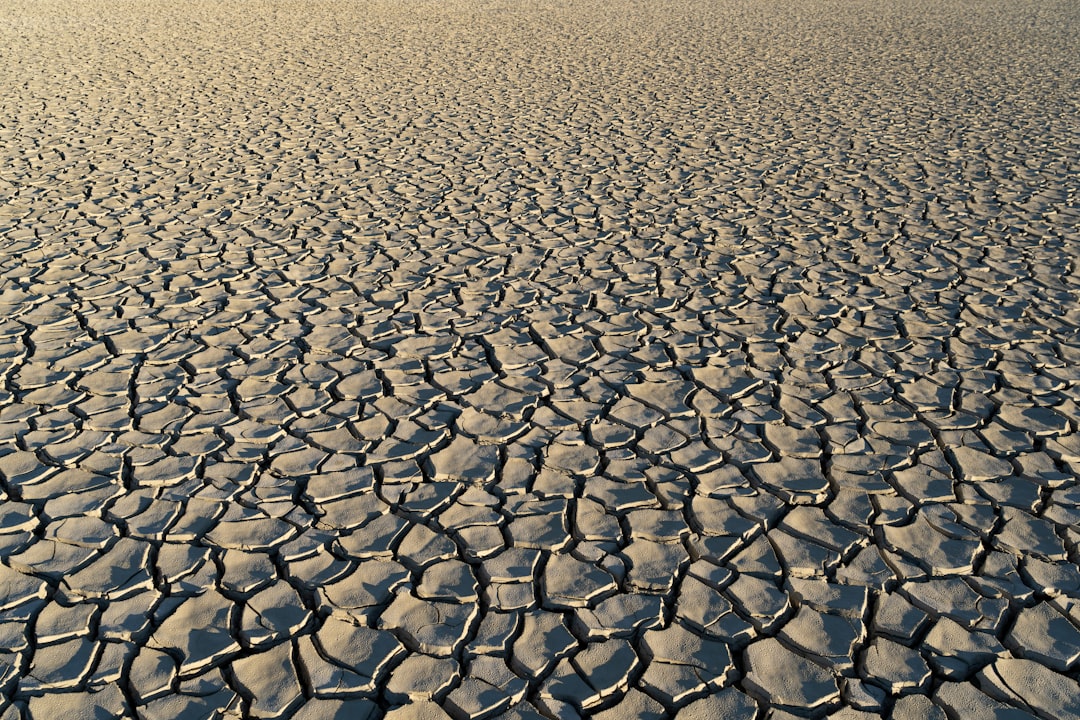 Photo Dry soil