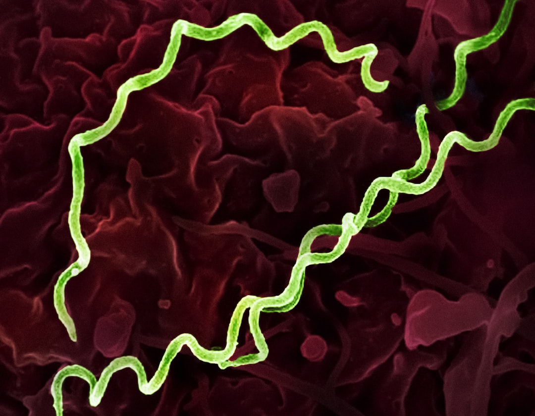 Photo Botulism bacteria