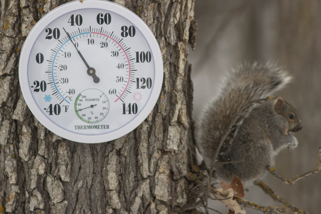 Photo Thermometer