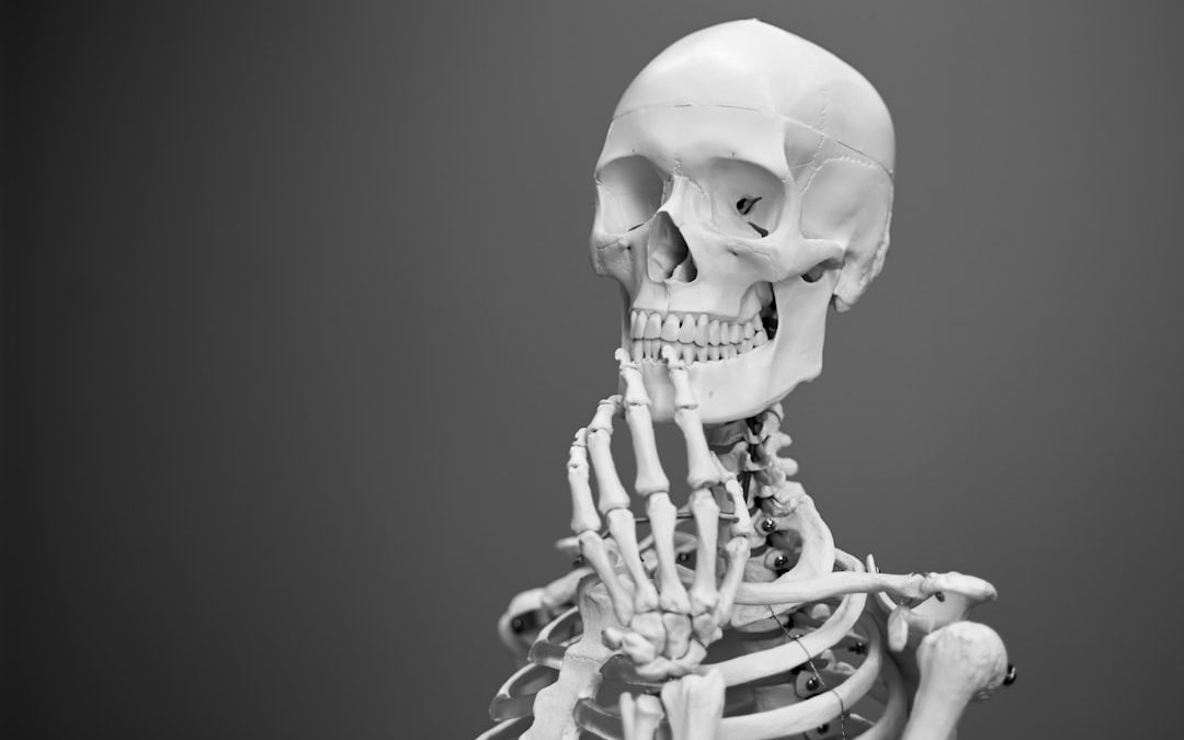 Photo Spinal cord
